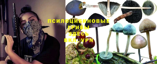 спайс Абаза